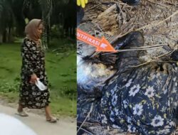 Tim Inafis Bersama Personel Polsek Tamiang Hulu Olah TKP Penemuan Sesosok Mayat Wanita