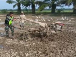 Babinsa Suka Jadi Bantu Petani Bajak Sawah Dengan Traktor