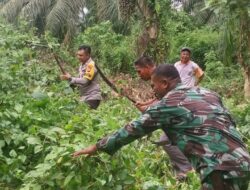 Wujudkan Lingkungan Bersih, Babinsa Bersama Warga Lakukan Gotong Royong