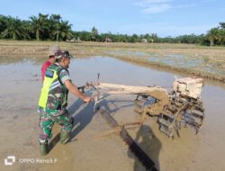 Babinsa Koramil 04/Bendahara Bantu Petani Bajak Sawah Dengan Traktor