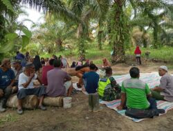 Junjung Tinggi Budaya Masyarakat Serka Tri Mulyadi Mengikuti Kenduri Sawah Desa Binaan