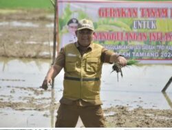 Intervensi Inflasi Daerah, Pj Bupati Aceh Tamiang Asra Buka Gertam Padi MT Gadu 2024