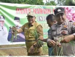 Panen Perdana Bawang Merah, Pj Bupati Aceh Tamiang : Ini Intervensi Pemkab Untuk Kendalikan Inflasi Daerah