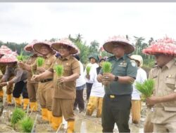 Jaga Stabilitas Pangan, Pj Bupati Aceh Tamiang Turun Lakukan Gerakan Tanam Padi Serentak