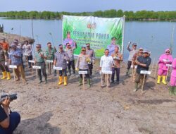 Sambut HUT Bhayangkara Ke-78, Polres Aceh Tamiang tanam 1.000 Pohon Mangrove