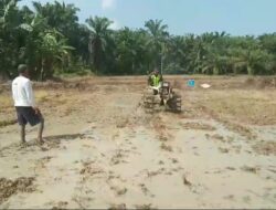 Percepat Masa Tanam, Serda Sukmadani Bantu Petani Membajak Sawah