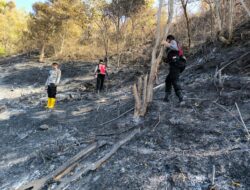 Kapolres Pidie Cek Lokasi Kebakaran Hutan Gampong Kupula Tanjung Kec. Padang Tiji