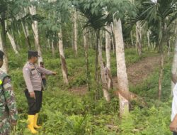 Anggota Polsek Indra Makmu Dampingi Petugas Pasang Kamera Trap di Lokasi Sapi yang Dimangsa Harimau
