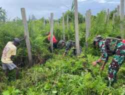 Peduli Lingkungan, Satgas Yonif 503 Kostrad Bersama Masyarakat Bersihkan Area Jalan Desa Mumugu
