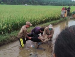 Polsek Rantau Bersama Warga Bantu Proses Evakuasi Penemuan Mayat