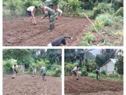 Siap Untuk Tanam Sayuran ,Babinsa Koramil 02/Pamona Puselemba Bantu Petani Garap Lahan