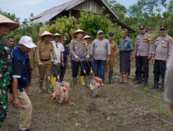 Polres Pidie Dukung Program Asta Cita Presiden dengan Penanaman Jagung