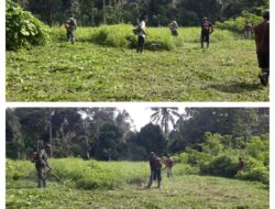 Sukseskan Pendampingan Ketahanan Pangan, Babinsa Koramil 1307–02/Pamona Puselemba Bantu Warga Pembukaan Lahan