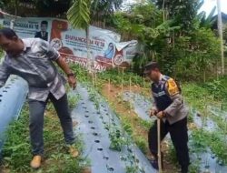 Polsek Bandar Dua Ajak Masyarakat Dukung Program Ketahanan Pangan, Optimalkan Lahan Tidur