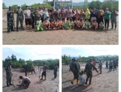 Kodim 1307/Poso Gelar Kegiatan Penanaman Mangrove Memperingati Hari Juang TNI AD Ke 79