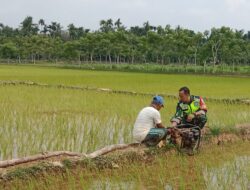 Pastikan Berfungsi Dengan Baik, Babinsa Koramil 06/Manyak Payed Cek Pompa Pengairan Sawah Bantuan