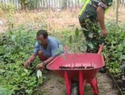 Babinsa Koramil 05/Tamiang Hulu Motivasi Petani Tanam Bibit Durian