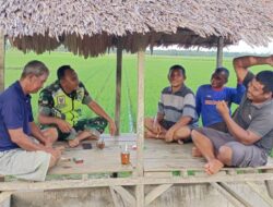 Babinsa Komsos Dengan Petani, Sebagai Wujud Kepedulian Guna Meningkatkan Hasil Pertanian