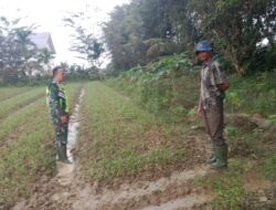 Babinsa Koramil 06/Mpy Komsos Dengan Petani Sayur Kangkung Di Wilayah Binaan