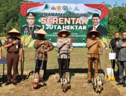 Kolaborasi Strategis Mendukung Swasembada: Kapolres Pidie Jaya Launching Penanaman Jagung Serentak 1 Juta Hektar
