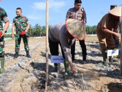 Polres Aceh Tamiang Gelar Penanaman Jagung Serentak 1 Juta Hektar