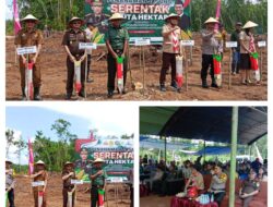 Danramil 1311-04/Lembo Hadiri  Penanaman Jagung Serentak 1 Juta Hektar di Desa Korobonde Kabupaten Morowali Utara