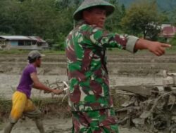 Sukseskan Upsus Hanpangan Nasional , Babinsa Aktif Laksanakan Pendampingan Hanpangan Di Wilayah Binaan