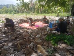 Sukseskan Program Ketahanan Pangan Babinsa Koramil 05/Ratolindo Bantu Petani Panen Jagung