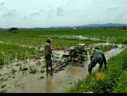 Babinsa Koramil Desa Olumokunde Bantu Penyiapan Lahan Pertanian untuk Mendukung Ketahanan Pangan Nasional