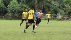 Pupuskan Ambisi Rantau FC. PS Muda Sedia dan Persipal Lolos Ke Semifinal Turnamen Piala PS Muda Sedia