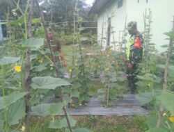 Komsos Dengan Petani Kacang Panjang, Serda Sudarto Dorong Motivasi Dan Semangat