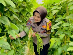 Brigpol Sufiana Maya Gerakkan Warga Wujudkan Ketahanan Pangan Mandiri