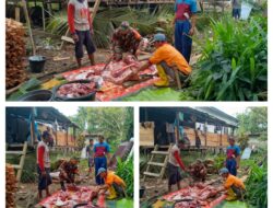 Babinsa Koramil 1311-06/Bungku Utara Laksanakan Anjangsana dan Komsos di Desa Tirowangan Bawah Kabupaten Morowali Utara