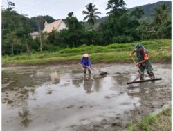 Sukseskan Hanpangan ,Babinsa Kageroa Bantu Masyarakat Buka Lahan Persawahan Pertanian