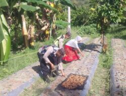 Polsek Panteraja Giat Sosialisasi Ketahanan Pangan, Warga Diajak Manfaatkan Lahan Kosong