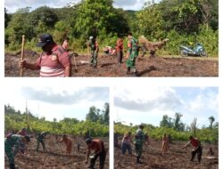 BANTU TANAM PADI, DUKUNGAN BABINSA DALAM PROGRAM HANPANGAN