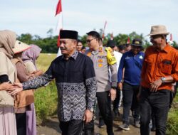 Kapolres Pidie Hadiri Panen Raya Padi Serentak di Tiro