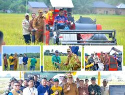 Panen Raya Padi Nasional, Bupati Aceh Tamiang Irjen Pol. (P) Drs. Armia Pahmi, MH Ucapkan Terima Kasih Petani Aceh Tamiang