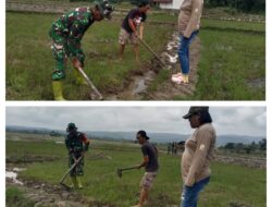 BANTU TANAM PADI, DUKUNGAN BABINSA DALAM PROGRAM HANPANGAN