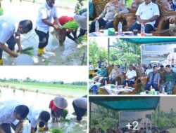 Wabup Aceh Tamiang ikuti gerakan tanam padi serentak