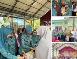 Ketua tp- PKK Aceh Tamiang tekankan pentingnya peran posyandu di tiap kampung