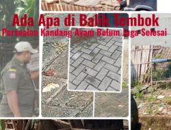 Kandang Ternak Ayam Bangkok di Pemukiman Periuk Damai Kota Tangerang Sangat Meresahkan Warga