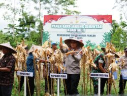 Dipimpin Presiden RI, Kapolres Pidie Ikuti Panen Raya Nasional Jagung Serentak Kuartal II Tahun 2025