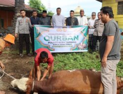 Polres Aceh Tamiang Laksanakan Pemotongan Hewan Qurban di Sejumlah Desa