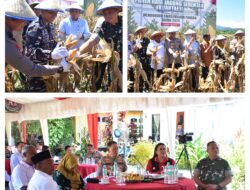 Danrem 132/Tadulako Hadiri Panen Raya Jagung Serentak Kuartal II di Donggala