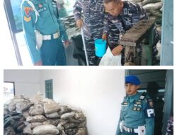 PANGKALAN TNI AL BABEL TUNTASKAN PENIMBANGAN 41 TON PASIR TIMAH ILEGAL