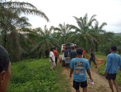 Mayat 2 Pria Ditemukan di Area Lahan Sawit PT Desa Jaya, Diduga Disambar Petir