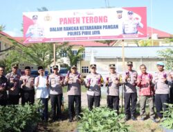 Kapolres Pidie Jaya Panen Terong di Lahan Polres, Dorong Ketahanan Pangan Lokal 2025