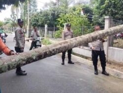 Listrik Padam & Jalan Lumpuh, Polsek Jangka Buya Polres Pidie Jaya Sigap Tangani Pohon Tumbang
