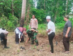 Polsek Jangka Buya Polres Pidie Jaya Tanam Jagung, Perkuat Kebersamaan dengan Masyarakat